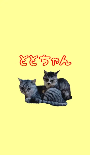 [LINE着せ替え] @ペットグランプリ ととちゃん親子の画像1