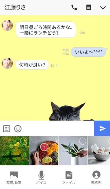 [LINE着せ替え] @ペットグランプリ ととちゃん親子の画像4