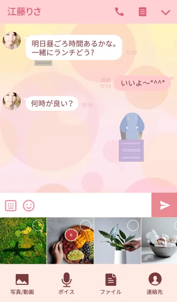 [LINE着せ替え] アニマルボックスⅡの画像4