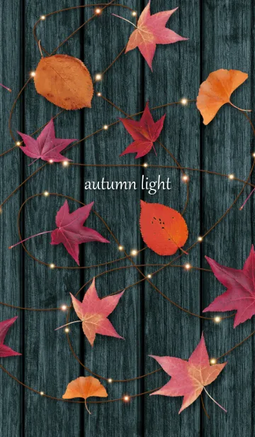 [LINE着せ替え] autumn lightの画像1