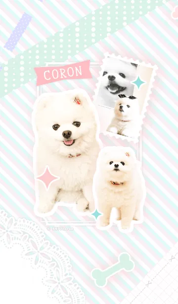 [LINE着せ替え] CORONの画像1