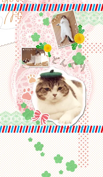 [LINE着せ替え] どんぐり 着せかえの画像1