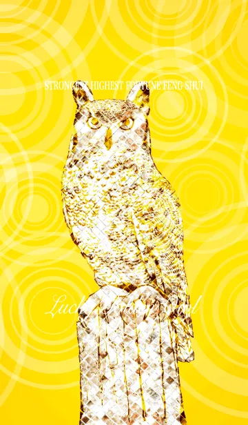 [LINE着せ替え] 最強最高金運風水 幸運の黄金フクロウの画像1