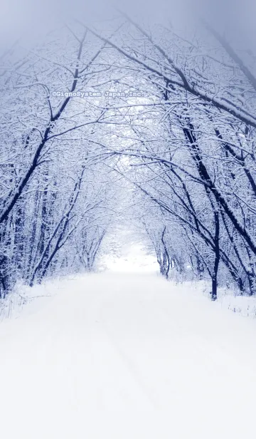 [LINE着せ替え] 雪の道の画像1