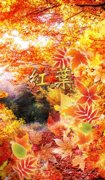 [LINE着せ替え] 紅葉～autumn leaves～の画像1