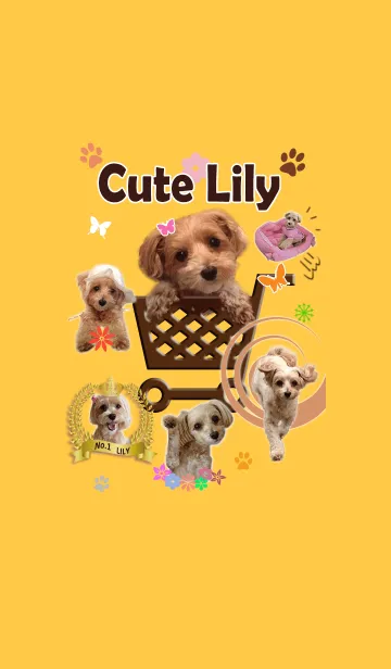 [LINE着せ替え] #マルプー♪リリーのキュート着せかえの画像1