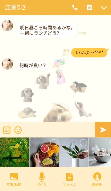 [LINE着せ替え] #マルプー♪リリーのキュート着せかえの画像4