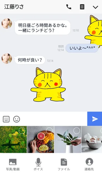 [LINE着せ替え] にゃん太郎の画像4