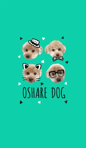 [LINE着せ替え] おしゃれドッグ♪の画像1