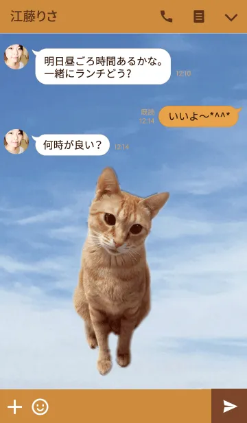 [LINE着せ替え] ねこのむうちゃん「@ペットグランプリ」の画像3
