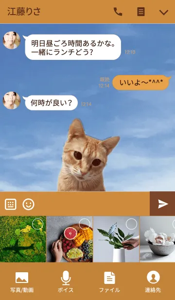 [LINE着せ替え] ねこのむうちゃん「@ペットグランプリ」の画像4