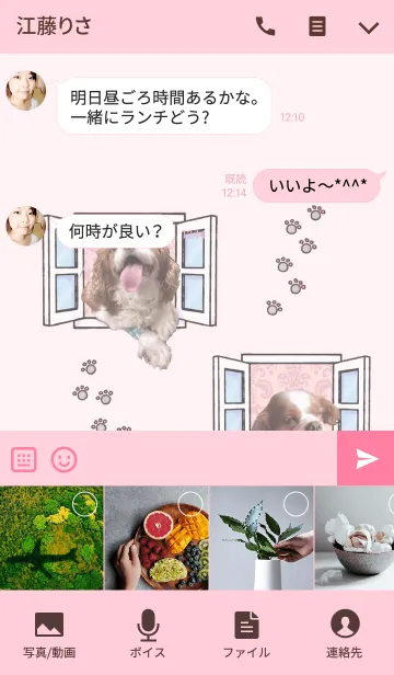 [LINE着せ替え] キャバリアのちゃんココ。pink ver2。の画像4