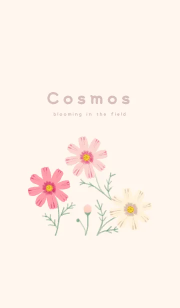 [LINE着せ替え] Cosmos -brooming in the field-の画像1