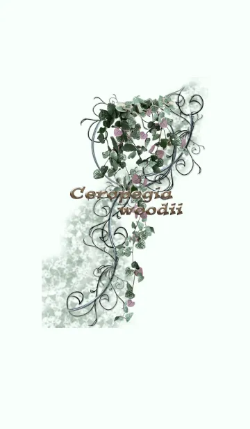 [LINE着せ替え] ハートカズラの画像1