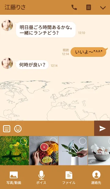 [LINE着せ替え] We Travel around the world (brown)の画像4