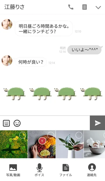 [LINE着せ替え] 小さな亀の兄弟の画像4