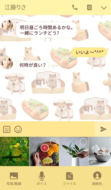 [LINE着せ替え] 柴犬だいふくの毎日モフモフの画像4