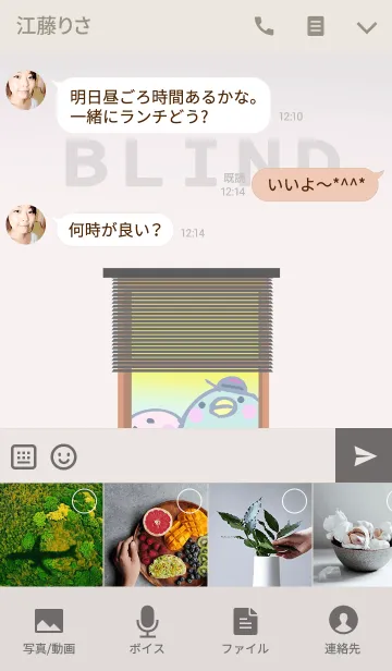 [LINE着せ替え] ブラインドの画像4