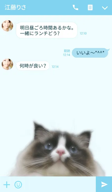 [LINE着せ替え] Baalがいっぱい＠ペットグランプリの画像3