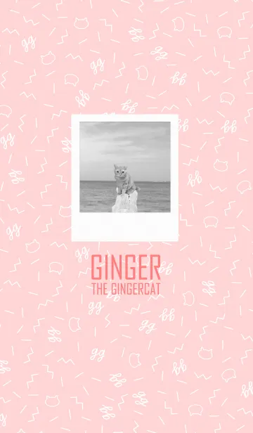 [LINE着せ替え] 赤毛ねこジンジャーの着せかえ3の画像1