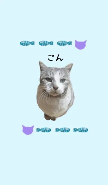 [LINE着せ替え] ごん＠ペットグランプリの画像1