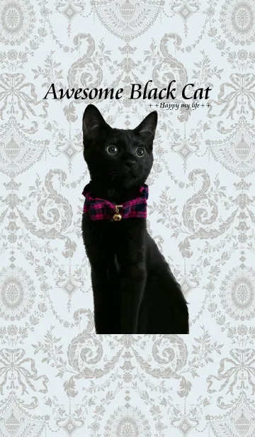 [LINE着せ替え] Awesome Black Cat@ペットグランプリの画像1