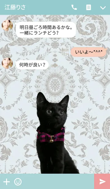 [LINE着せ替え] Awesome Black Cat@ペットグランプリの画像3
