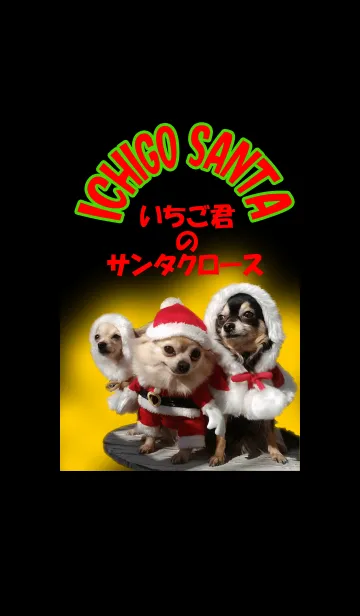 [LINE着せ替え] いちご君のサンタさん @ペットグランプリの画像1