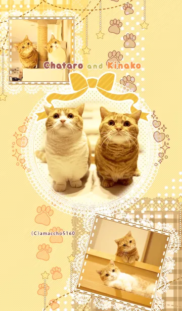 [LINE着せ替え] 茶太郎ときなこの画像1