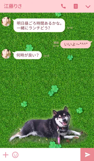 [LINE着せ替え] 今日も大吉、芝生が好き@ペットグランプリの画像3
