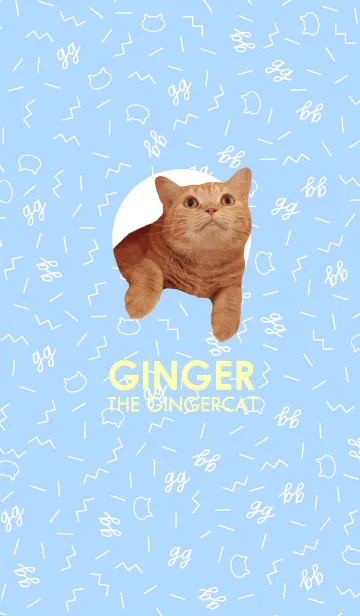 [LINE着せ替え] 赤毛ねこジンジャーの着せかえ2の画像1