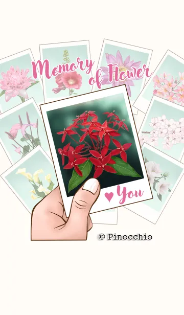 Memory of flower (JP)の着せ替えメイン画像