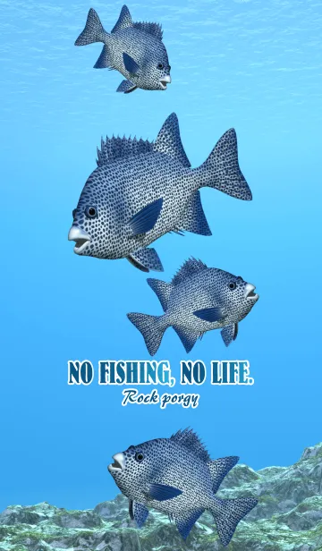 [LINE着せ替え] イシガキダイ 1の画像1