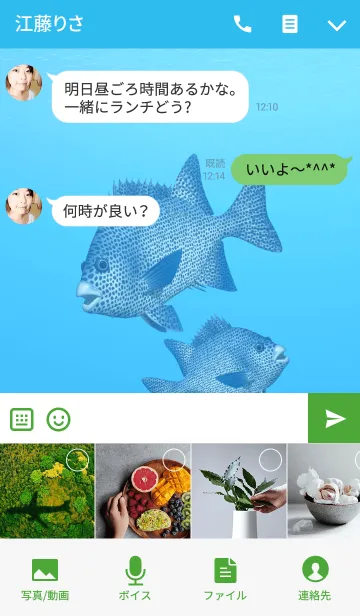 [LINE着せ替え] イシガキダイ 1の画像4