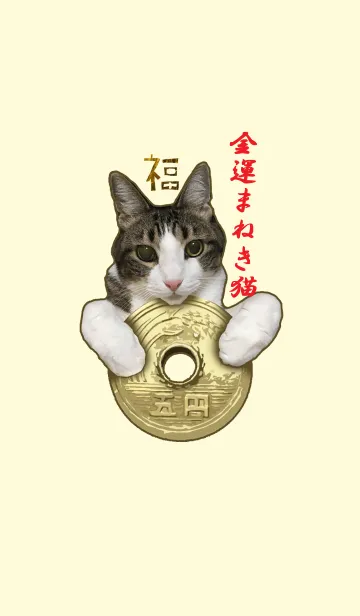 [LINE着せ替え] 金運まねき猫@ペットグランプリの画像1