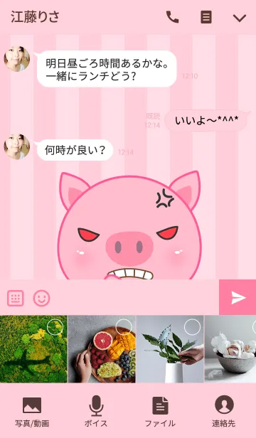 [LINE着せ替え] Angry Pig Theme(jp)の画像4