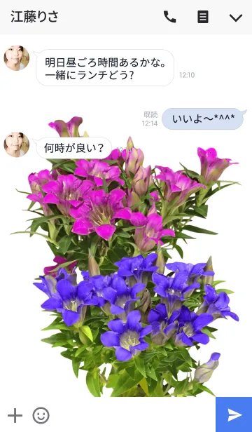 [LINE着せ替え] リンドウの着せかえの画像3