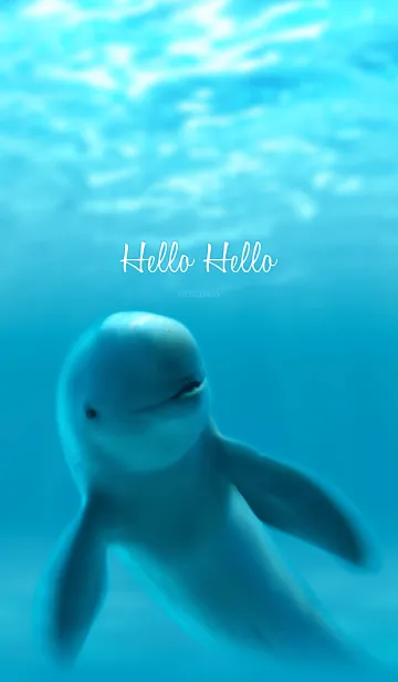 [LINE着せ替え] Hello Helloの画像1