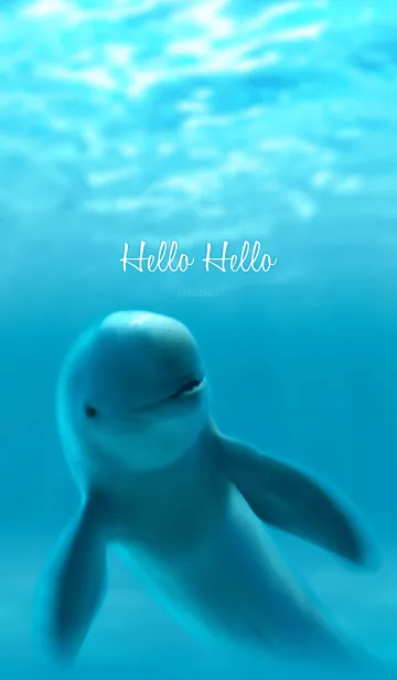 Hello Helloの着せ替えメイン画像
