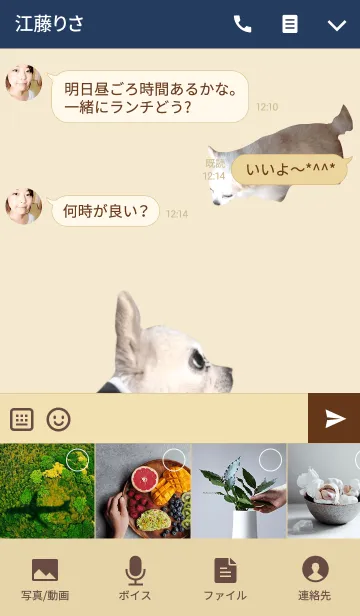 [LINE着せ替え] 【チワマン】の画像4