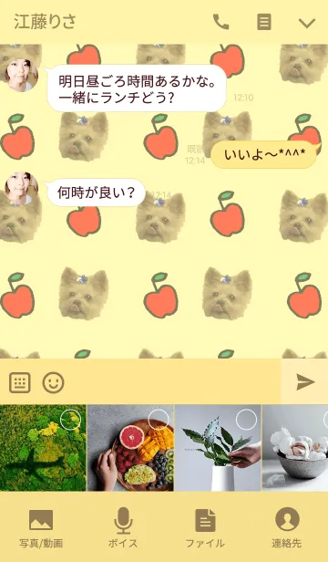 [LINE着せ替え] かわいいヨーキー ＠ペットグランプリの画像4