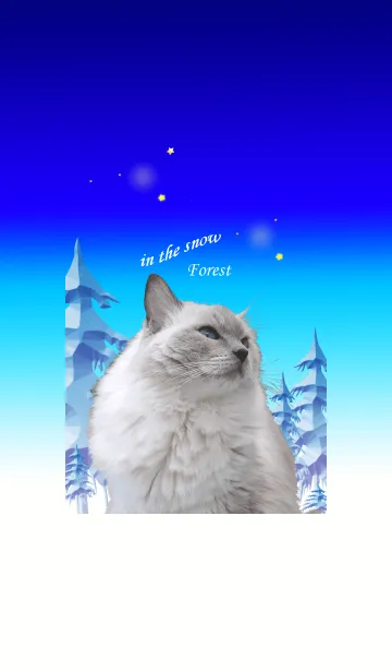 [LINE着せ替え] 雪の森にて＠ペットグランプリの画像1