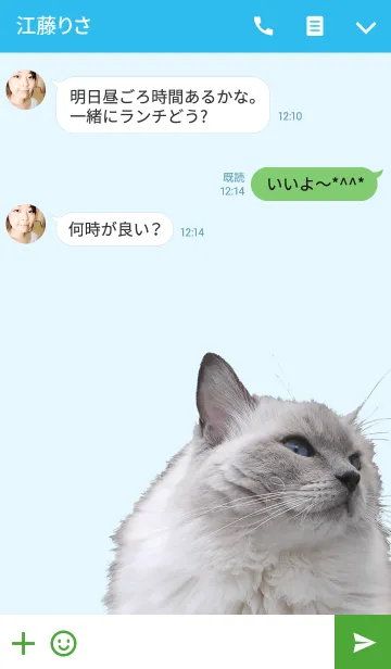 [LINE着せ替え] 雪の森にて＠ペットグランプリの画像3