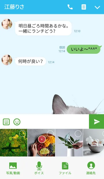 [LINE着せ替え] 雪の森にて＠ペットグランプリの画像4