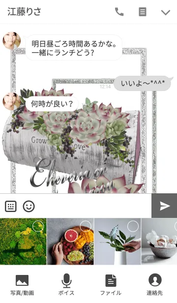 [LINE着せ替え] 多肉の桃太郎！Echeveria cv Momotarouの画像4