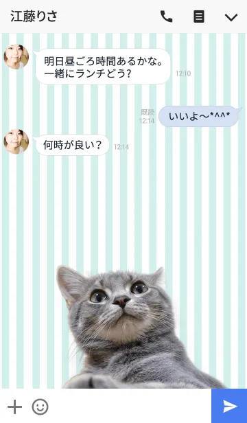 [LINE着せ替え] グレー猫トム@ペットグランプリの画像3