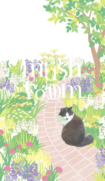はらぺこ猫のお庭@ペットグランプリのLINE着せ替え