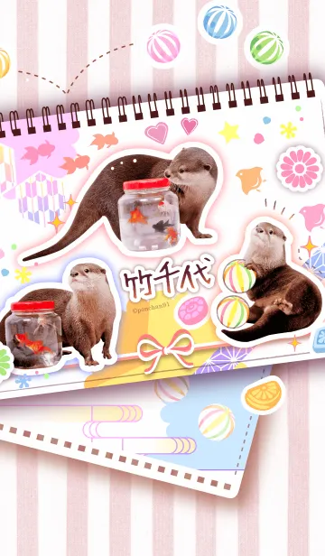 [LINE着せ替え] コツメカワウソ竹千代の画像1