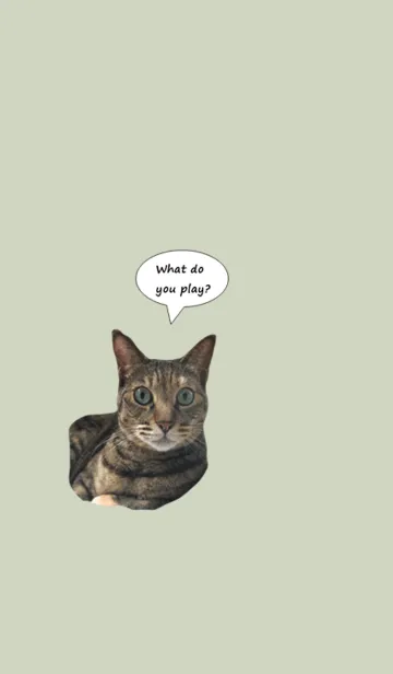 [LINE着せ替え] うちの猫（着せかえver)＠ペットグランプリの画像1