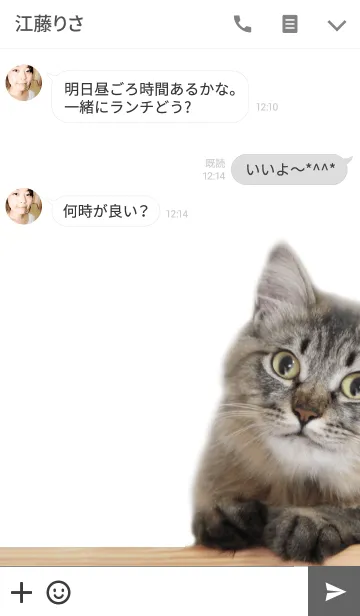 [LINE着せ替え] 癒しねこ@ペットグランプリの画像3